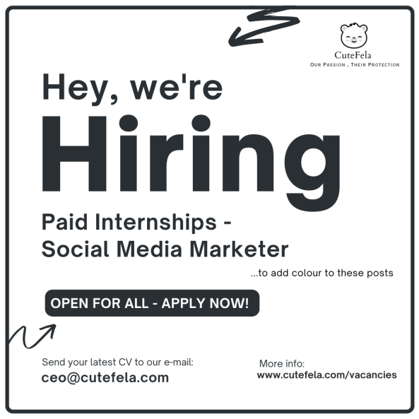 Paid Internships - Social Media Maraketers job from - in Colombo, Sri Lanka