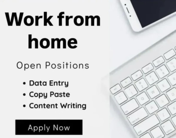 Data entry jobs job from rootpsrtvo in Chicago, Sri Lanka