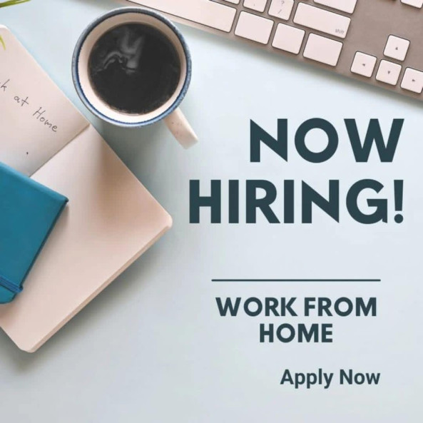 Virtual Data Entry & Support Assistant job from NGO's in Toronto, Sri Lanka job from Aaron Evelyn in Uk, Sri Lanka