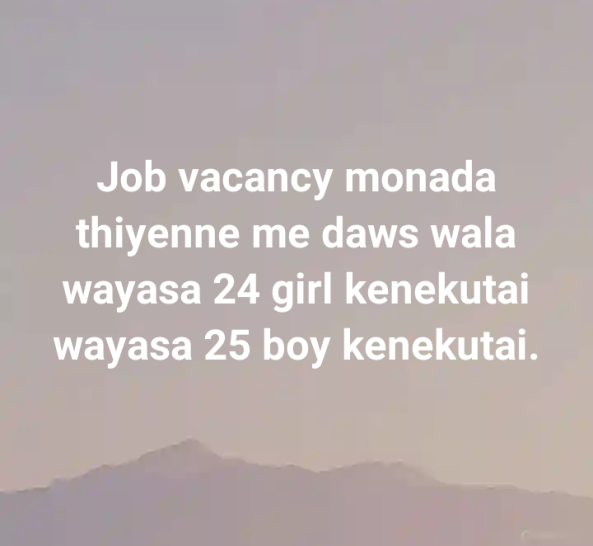 Freelance typing, document conversion, and translation projects. job from Task Upward Publishing Company in Matale, Sri Lanka