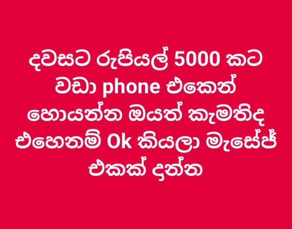 Freelance typing, document conversion, and translation job from Hiring Company in Nuwara Eliya, Sri Lanka