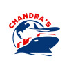 Job vacancy from CHANDRA'S