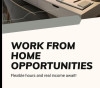 Job vacancy from WORK FROM HOME OPPORTUNITY JOBS